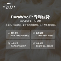 WOLSEY 18.5微米美利奴羊毛天丝混纺长袖T恤 藏青色 L