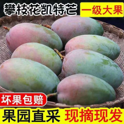 集南鲜 金煌芒芒果 当季广西青皮黄皮大芒果新鲜水果甜心芒果整箱盒 净重4.5斤特级果王  单果300g起
