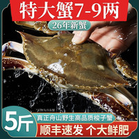鲜喜利 梭子蟹鲜活特大野生舟山大螃蟹海鲜新鲜冷冻海蟹水产飞蟹白蟹