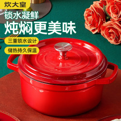 炊大皇 珐琅锅铸铁锅家用双耳炖锅汤锅焖烧锅不粘锅电磁炉燃气灶通用煮锅  22cm 2.8L