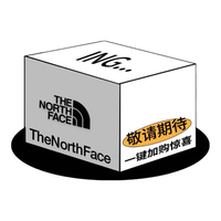 THE NORTH FACE 8EXV 速干透气 黑色 2XL 男士短袖T恤