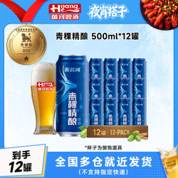 黄河 青海湖青稞啤酒500ml*12罐整箱高原黄啤聚会畅饮拍2送果啤货上门