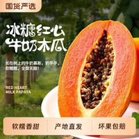 食悦果 正宗广西冰糖红心牛奶木瓜应当季新鲜水果现摘农家自种树上熟下奶