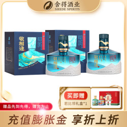 沱牌 舍得 敬相逢 52%vol 100ml 浓香型白酒 52度 100mL 2瓶 蓝色版