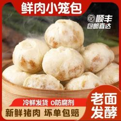 嵊州老面小笼包手工包子鲜肉包儿童早餐半成品方便速食工厂发货