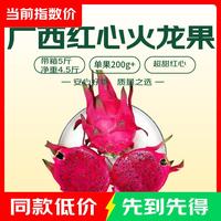 广西红心火龙果 单果200g+ 中果带箱5斤-净重4.5斤