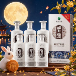 习酒 银质 500ml*6瓶 酱香型白酒 纯粮酿造 商务宴请 53度 500mL 6瓶