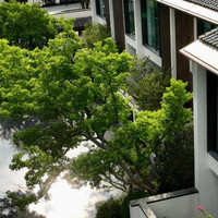 酷享水景大床房 2 晚(连住) + 早餐 2 份/天 + 苏式慢生活旅拍体验1次(享3张免费快修电子版照片)