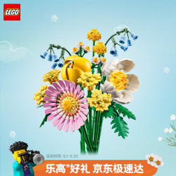 乐高 花卉植物系列 10347 阳光小花束