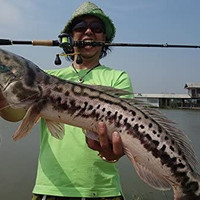Abu Garcia 路亚竿 鱼饵 World Monster 734H