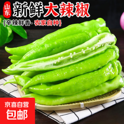 京喜 新鲜青辣椒尖椒牛角椒中辣皮薄饱满清脆辣椒炒肉下饭菜 带箱1斤