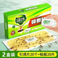 绿叶 粘蟑板蟑螂粘板杀蟑引诱灭蟑螂蟑螂贴蟑螂屋 蟑螂粘板2130两盒