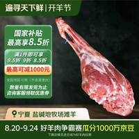 滩洋鲜生 宁夏滩羊 草饲羔羊后腿净重4斤 生鲜冷冻羊肉原切烧烤 开羊季散养
