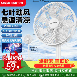 长虹 FS-LJ301 七叶轻音大风量 台地两用 电风扇