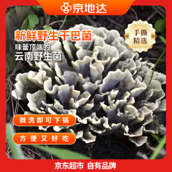 京地达 云南特产野生菌 美味新鲜干巴菌 净重1斤 源头直发 新鲜干巴菌 1斤