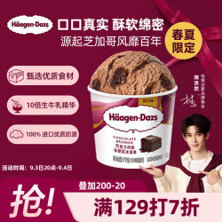 哈根达斯 双重巧克力 马卡龙冰淇淋  双重巧克力 81g