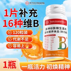 乐氏南同 维生素b族复合片专用多种b6b12烟酰胺正品官方旗舰店健康营养代谢