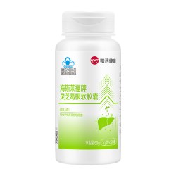 哈药牌 哈药灵芝葛根软胶囊辅助保护化学性肝损伤添加灵芝精华葛根60粒