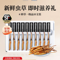东阳光 官方旗舰店正品新鲜冬虫夏草一级品10根即食补品滋补送礼