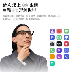 雷鸟 V4 AI智能眼镜 黑色 4GB+32GB 镜架款