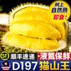 伊人之佳 马来西亚猫山王榴莲 D197 液氮树熟 整箱