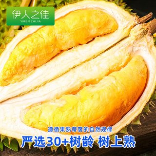 伊人之佳 马来西亚猫山王榴莲 D197 液氮树熟 整箱