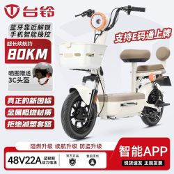 台铃 新新国标电动自行车可上牌48v22a电动车女智能轻便成人代步车
