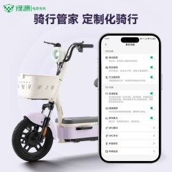 绿源 新国标电动自行车 48V20Ah铅酸电池