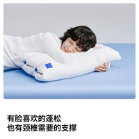 PLUS会员：蓝盒子 枕中枕 N3 10cm 白色 单只