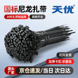 天优 国标尼龙扎带 宽2.5mm 长120mm 黑色 100根
