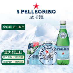 圣培露 充气天然矿泉水 500ml*24瓶