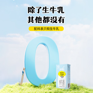 认养 3.3g乳蛋白 125ml*36盒 全脂纯牛奶