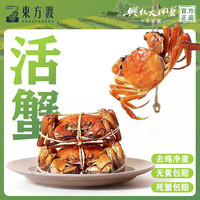 东方渡 鲜活大闸蟹 公3.0两 10只装