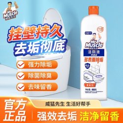 威猛先生 洁厕液 松木清香 500g