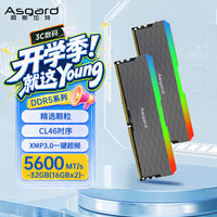 阿斯加特 LOKI W2 DDR5 5600 32GB(16GBx2) CL46 RGB灯条