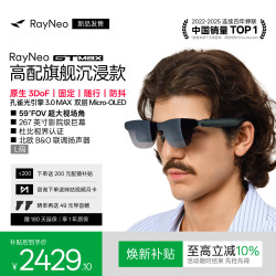 雷鸟 RayNeo 雷鸟创新 GT Max XRGF40 AR智能眼镜 L码