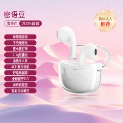 爱国者 TQ10 主动降噪 半入耳式 蓝牙耳机