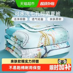 富安娜 梦幻小时光 七孔抗菌夏被