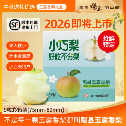 新梨预售！中秋香梨 礼盒装 9粒中果 4.5斤