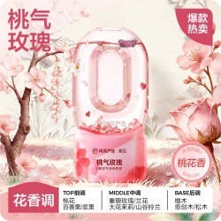网易严选 除臭 空气清新剂  花香型