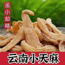 云南野外精选小天麻深山林下种植正宗干货
