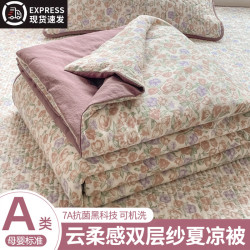 PRO-LOVE 夏凉被空调被新款家用床上夏被单人款夏季薄被子可机洗