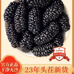 桑葚干果黑桑葚新货新疆桑葚干泡茶泡酒专用优选食用大果饱满