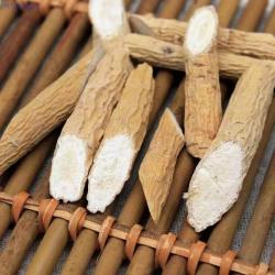 大山里的珍品  牛大力根