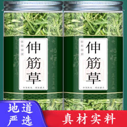 伸筋草舒筋草申筋草生筋草石松草和可搭配宽筋藤透骨草鱼腥草伸筋
