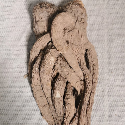 甘肃土特产当归100克装（初级农产品）