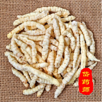 甄选白虫草干货可泡水搭配白虫草干货