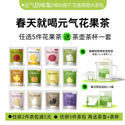 任选5件送茶壶茶杯茶包份量足耐冲泡甄选原料喝水搭子