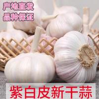 京喜加 紫白皮大蒜优选净重0.8斤 单果3.5-5cm