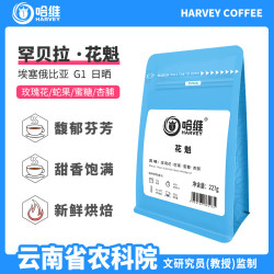 哈维 新鲜烘焙罕贝拉花魁日晒单品手冲咖啡豆227g
